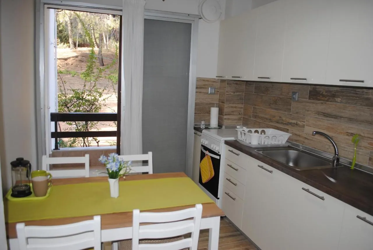 Daniil'S Seafront Apartment 니키티